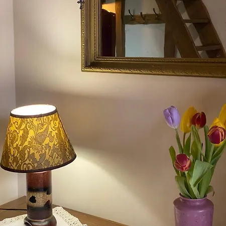 Apartment Xvii Century *